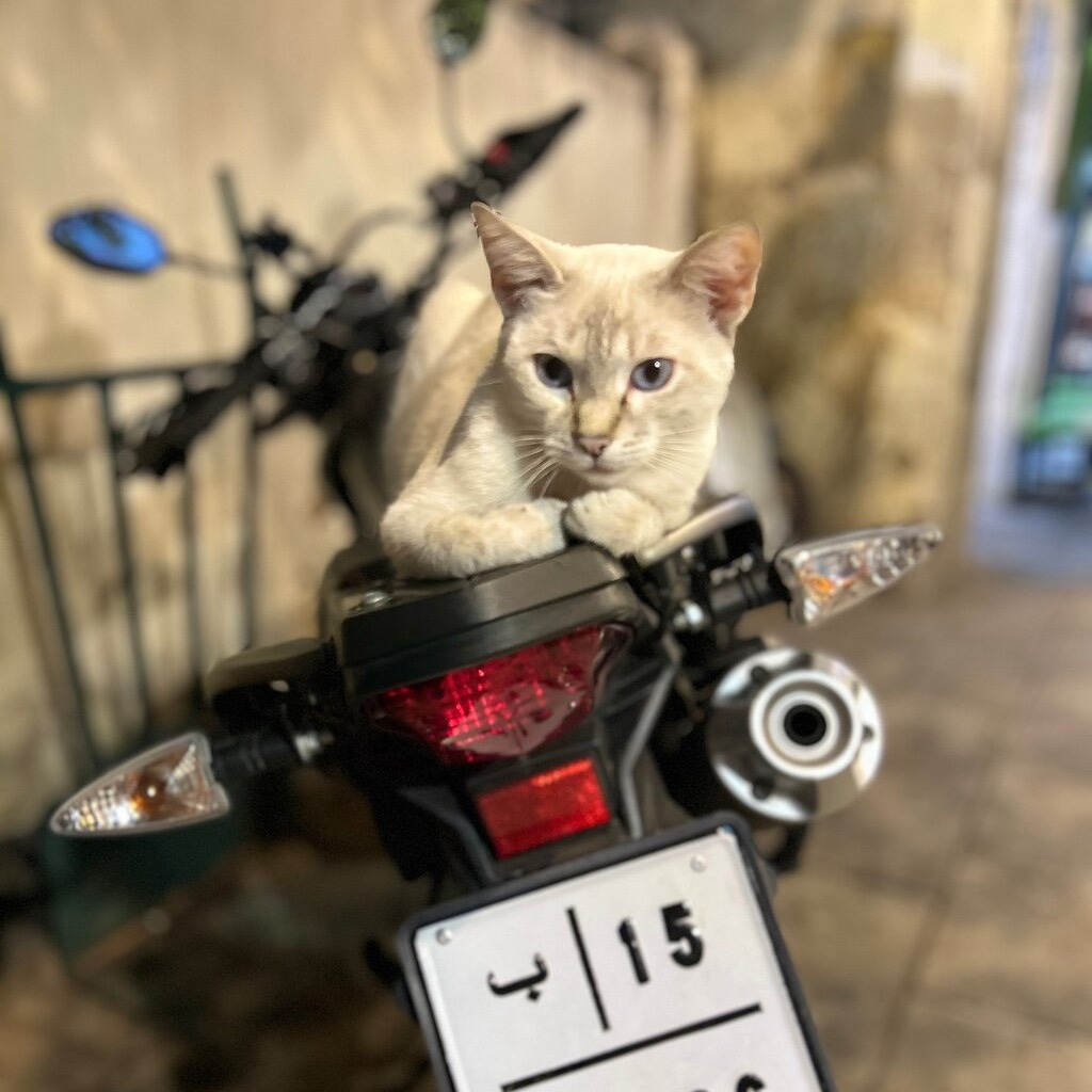 Homestay Ahi Hale