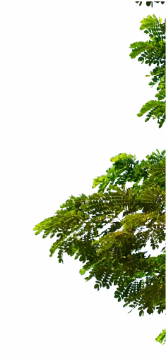 Hotel hacienda San Jose